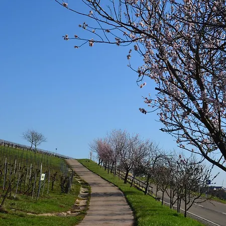 Castell & Restaurant 3*