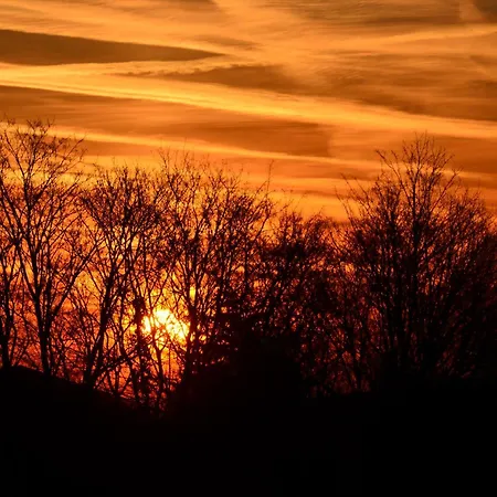 Otel Castell & Restaurant Leinsweiler