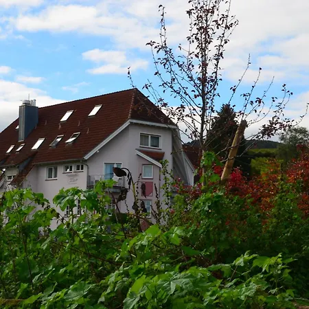 Castell & Restaurant 호텔 3*