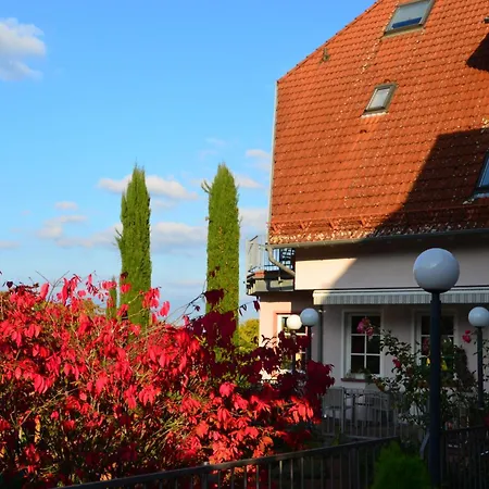 호텔 Castell & Restaurant