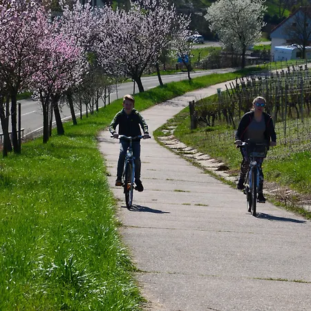 Castell & Restaurant Hotel Leinsweiler