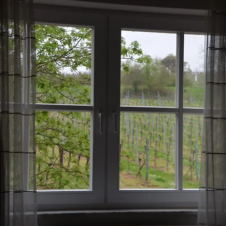 호텔 Castell & Restaurant 3*