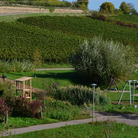 호텔 Castell & Restaurant 라인스바일러