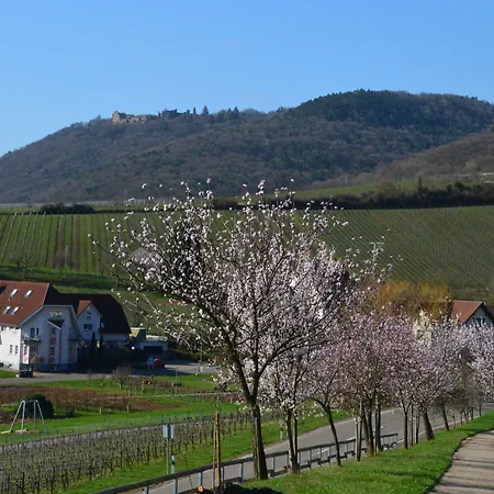 Castell & Restaurant Leinsweiler