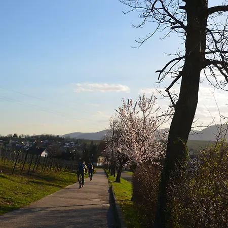 Castell & Restaurant Leinsweiler