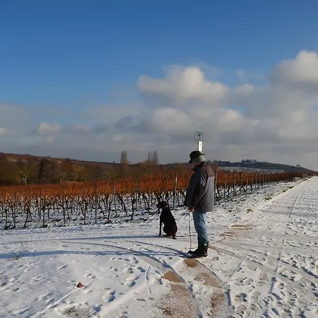 Castell & Restaurant 3*