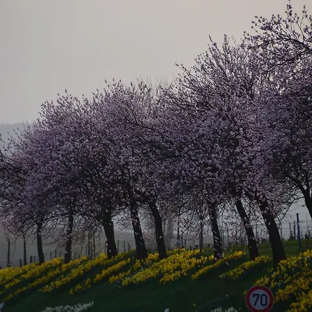 Castell & Restaurant 3*