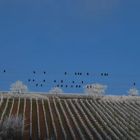 Hotel Castell & Restaurant