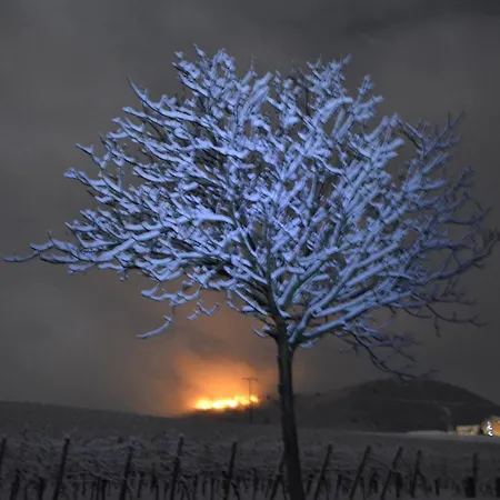 Castell & Restaurant 3*