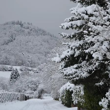 Hotel Castell & Restaurant Leinsweiler