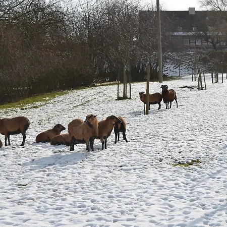 Castell & Restaurant 호텔