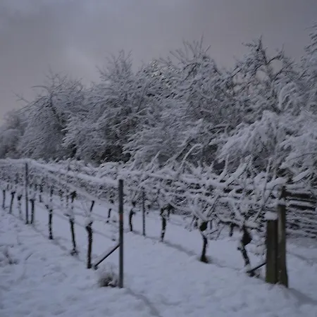 Hotel Castell & Restaurant 3*