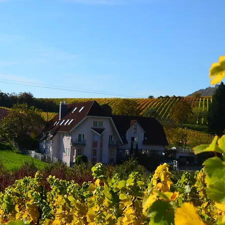 Castell & Restaurant 3*