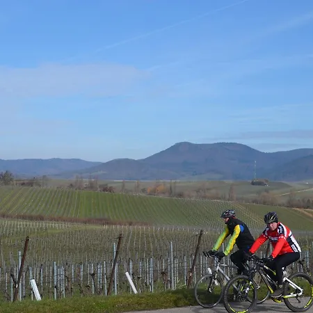 Castell & Restaurant 3*