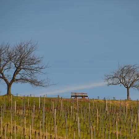 Castell Hotel&restaurant