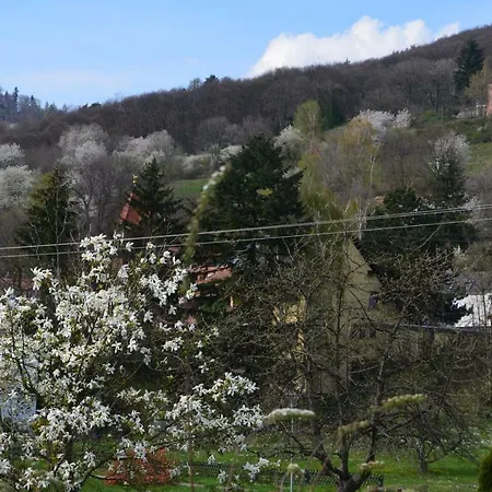 Castell & Restaurant