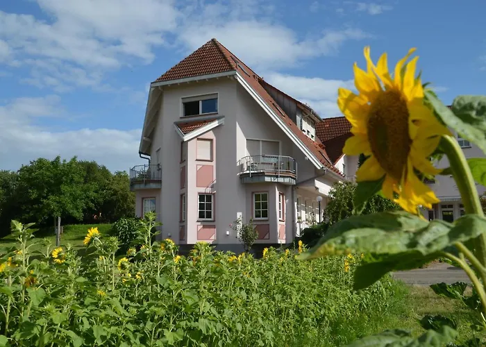 Hotel Castell Hotel&restaurant Leinsweiler