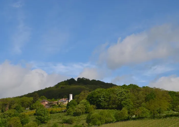 Castell Hotel&restaurant Hotel 3*