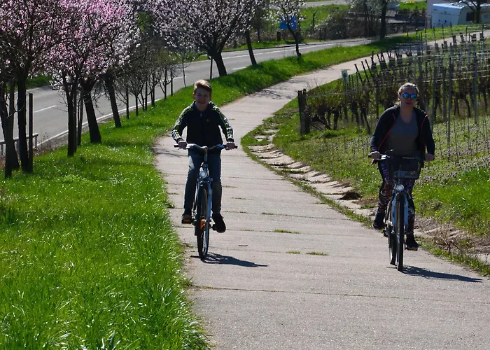 Castell & Restaurant Hotel Leinsweiler