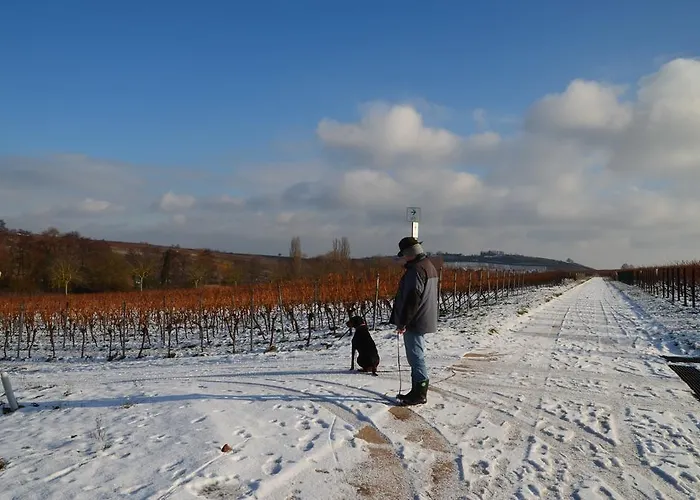 Castell & Restaurant 3*