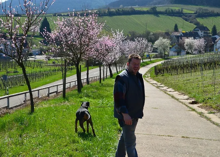 Castell & Restaurant 3* Leinsweiler