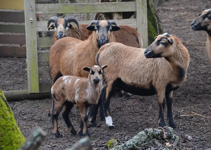 Castell Hotel&restaurant 3* Leinsweiler