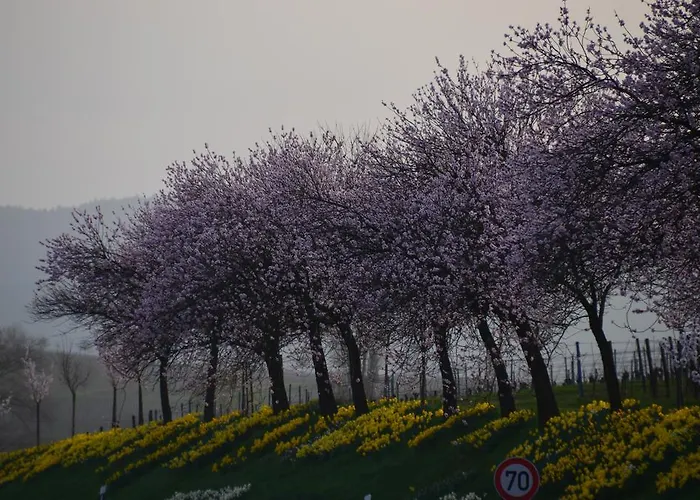 Castell & Restaurant 3*