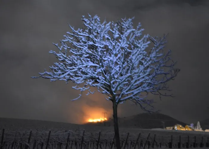 Castell & Restaurant 3*