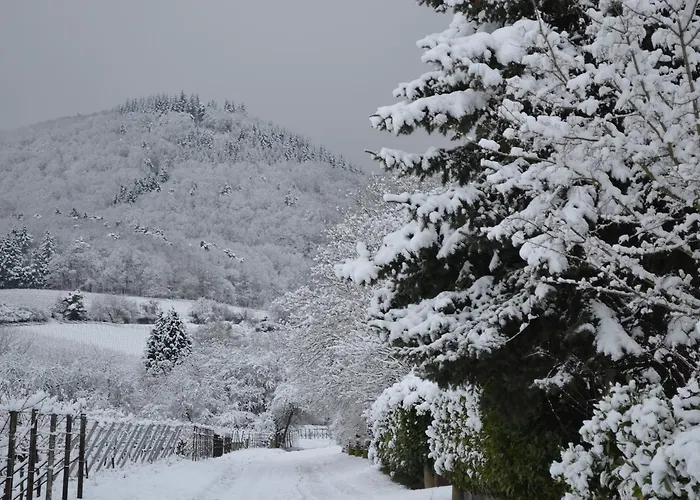 Hotel Castell & Restaurant Leinsweiler