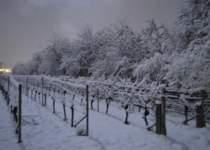 Hotel Castell & Restaurant 3*