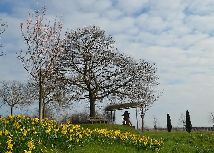 Castell & Restaurant 3*